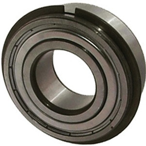 NTN 6004ZZNR Single Row Ball Bearings