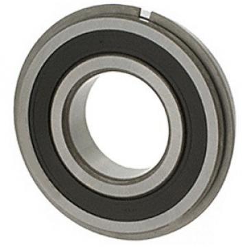 NTN 6004LLBNR Single Row Ball Bearings